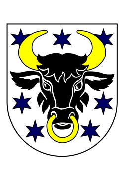 Πόλη Turany